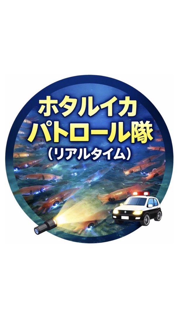 ホタルイカパトロール隊（リアルタイム）