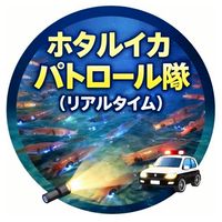 ホタルイカパトロール隊（リアルタイム）
