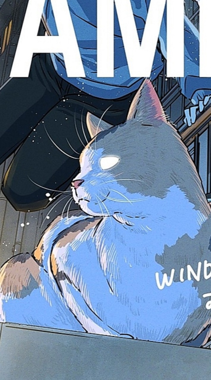 WIND BREAKER【夢】