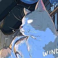 WIND BREAKER【夢】