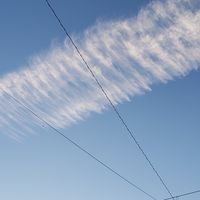 空写真