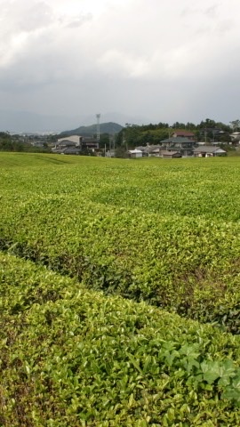 錦綾同窓会写真部  (笑)
