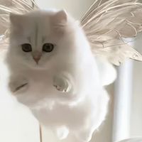 ᴀᴛᴏᴘᴏs sᴛᴜᴅɪᴏㅣ包材美粧團購