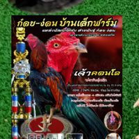 ก๋อย-ง่อนบ้านเล็กฟาร์ม