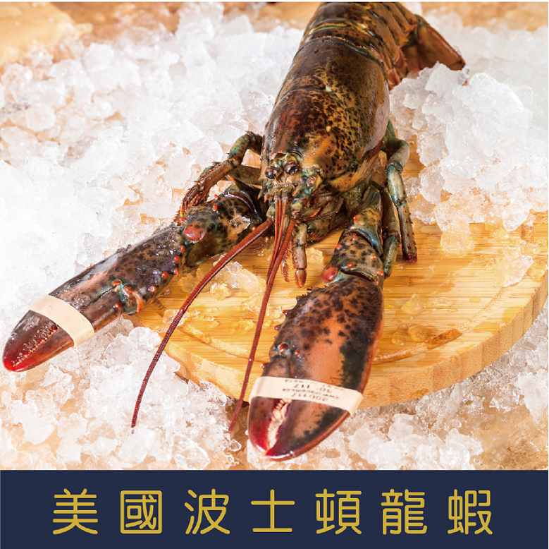 活凍波士頓龍蝦400-500g10%