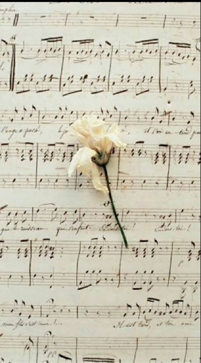 ☆•Classical•Pop•Movie Musics•☆