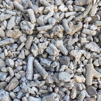 高雄志工(找志願服務)