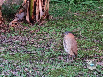 IMG20200314171942.jpg IMG20200314171942.jpg