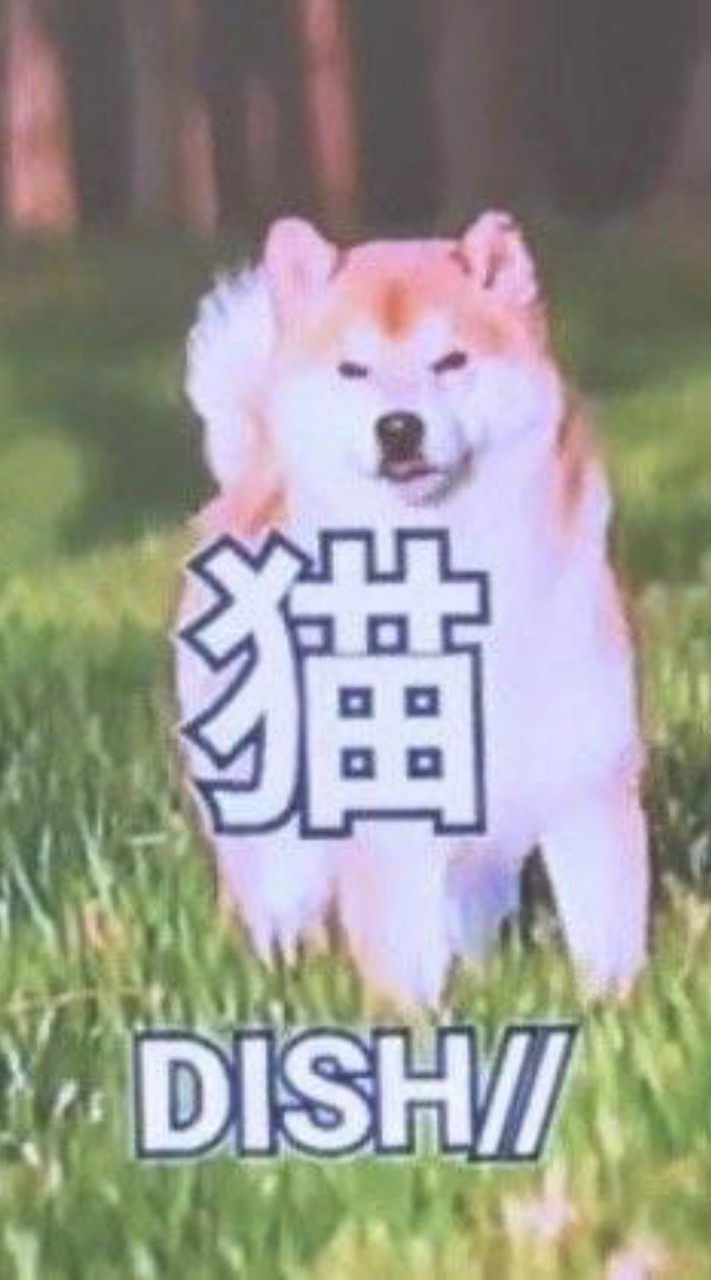 オプ欲の秋ってことで全緩也🤩💖☝🏻