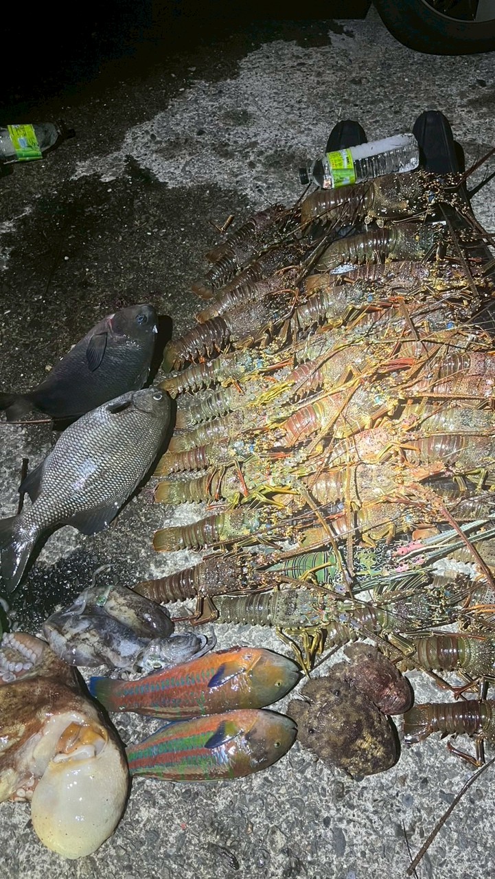 豪勳鱻（好新鮮）🐟🦞新鮮現撈漁獲