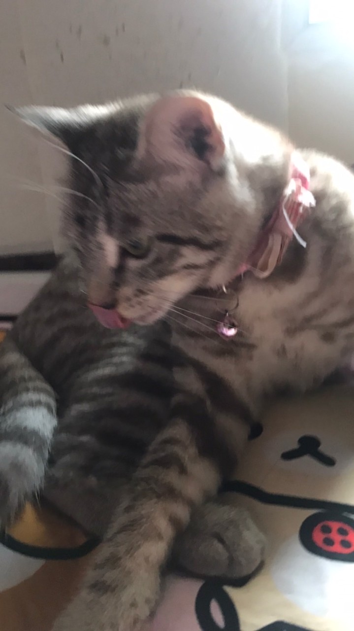 เด็กดี