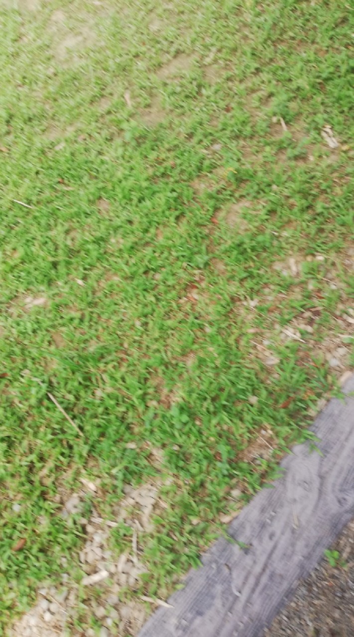 580金鑽中區免費商圈