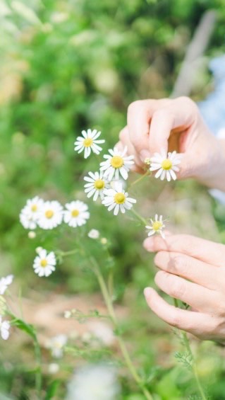 おとなの女性のためのアロマとクレイの薬箱