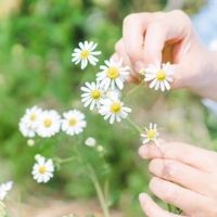 おとなの女性のためのアロマとクレイの薬箱