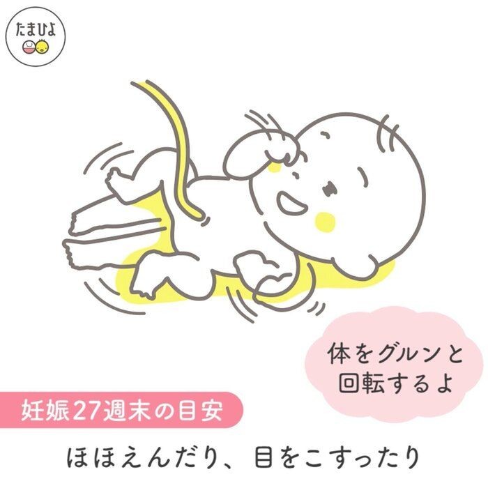 動画 妊婦さん必見 今 おなかの赤ちゃんは何してる たまひよ Online