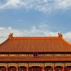 Forbidden City RP (เครือนกแก้ว)