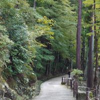 バイナリー無料配信部屋