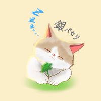 パセリのみじん切り