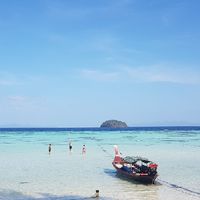 kohlipe