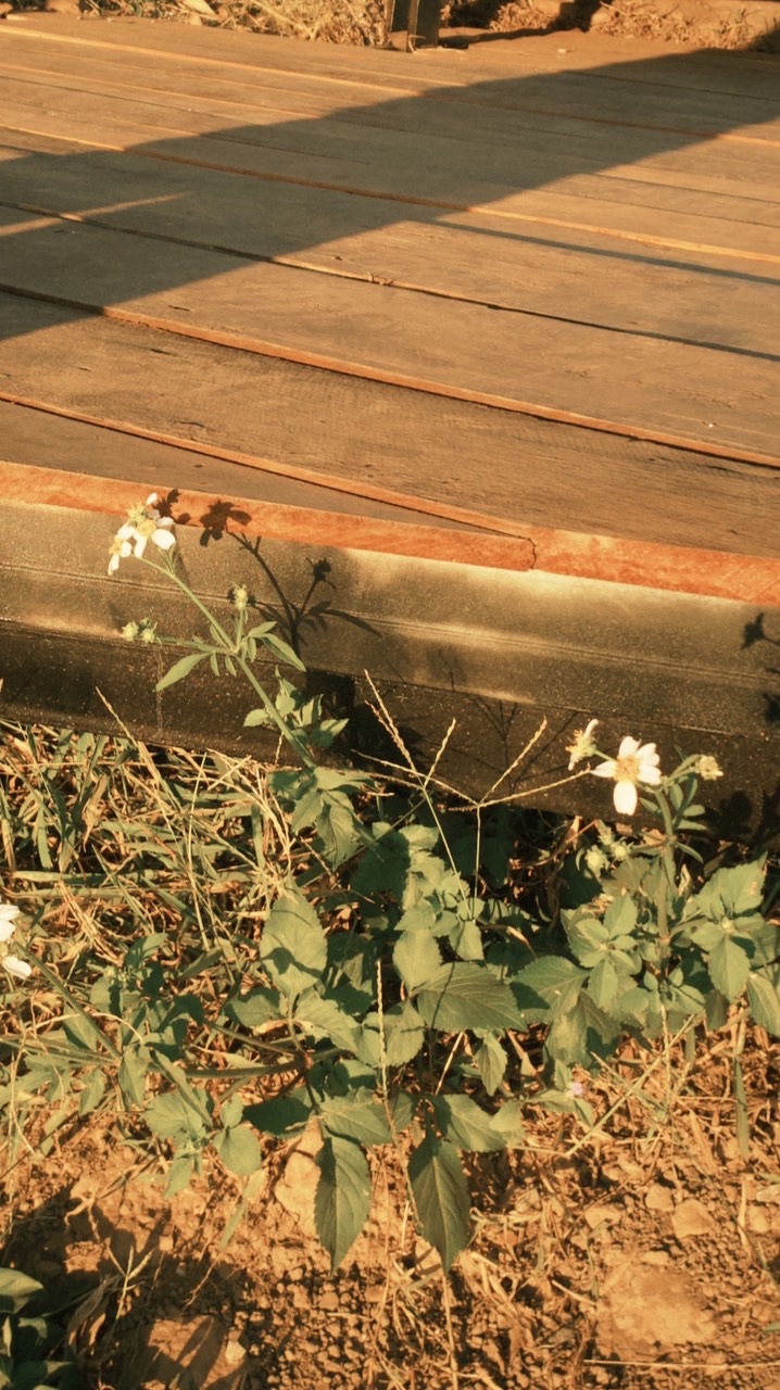 อำลงอำลา