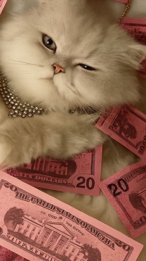 โล๊ะห้องงง