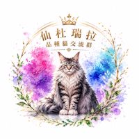 🌸仙杜瑞拉品種貓交流群🌸（品種貓交流、買賣、找家）