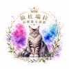 🌸仙杜瑞拉品種貓交流群🌸（品種貓交流、買賣、找家）