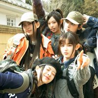 Bunnies交流群🐰🥕