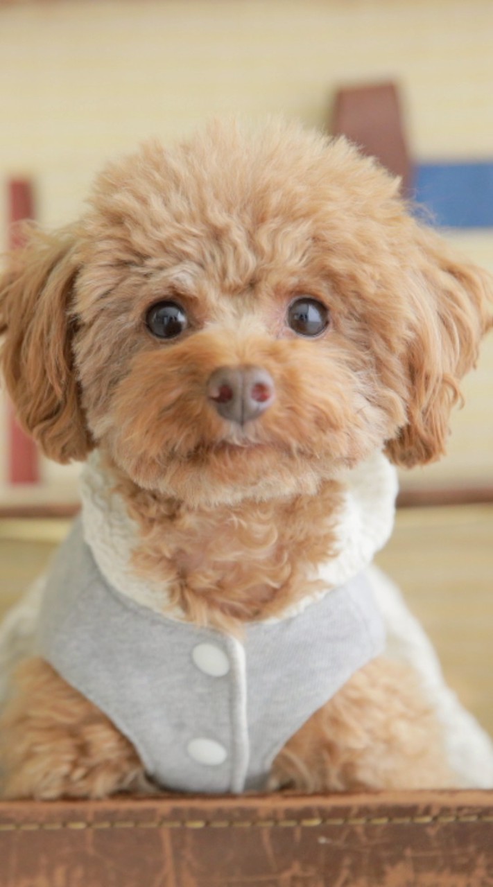 ワンマル5月🐶ワンコSpecial