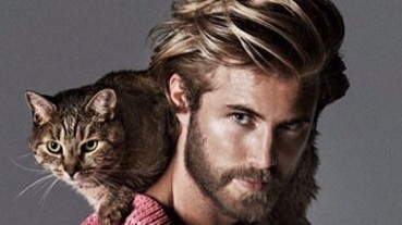 當小鮮肉遇到喵星人 照片亮點到底是哪一個？