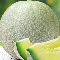 〖 東北地域🍈北海道 〗30代 40代 50代 🍈 ライブトーク 🍈 楽しい雑談 🍈 素敵なオフ会🍈