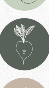 みやぎ食のEC講座_初心者🔰