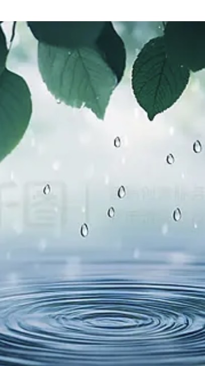 輕盈計劃-CNFCD🍎