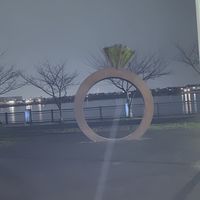 レイク界隈