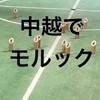 新潟の中越でモルックの会