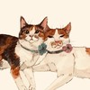 😽小貓異想世界🛍代購