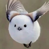 メンタル 心結び・ライブトーク