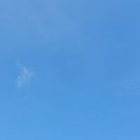 股票長期實戰獲利與實戰教學分享社群（楊竹文分析師）