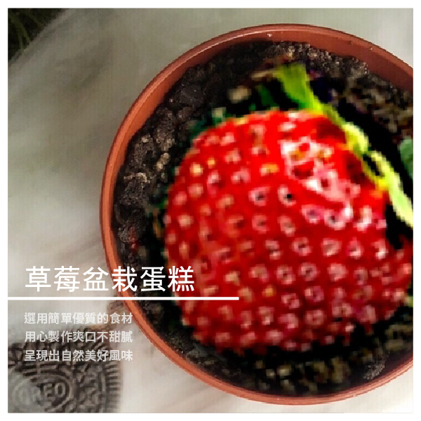 外型激似植物盆栽，卻是超好吃的蛋糕甜點 表層酥脆、內層綿密濃郁而且入口即化 頂端還長出一顆顆香甜的新鮮大湖草莓 內餡卡式達純鮮奶完全不加一滴水製作 口感豐富漸層，吃得到真正的濃、純、香！ 一整天的幸福