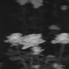 君の 全て を 知りたくて  ＿  。  𝐾 𝑴 𝐓