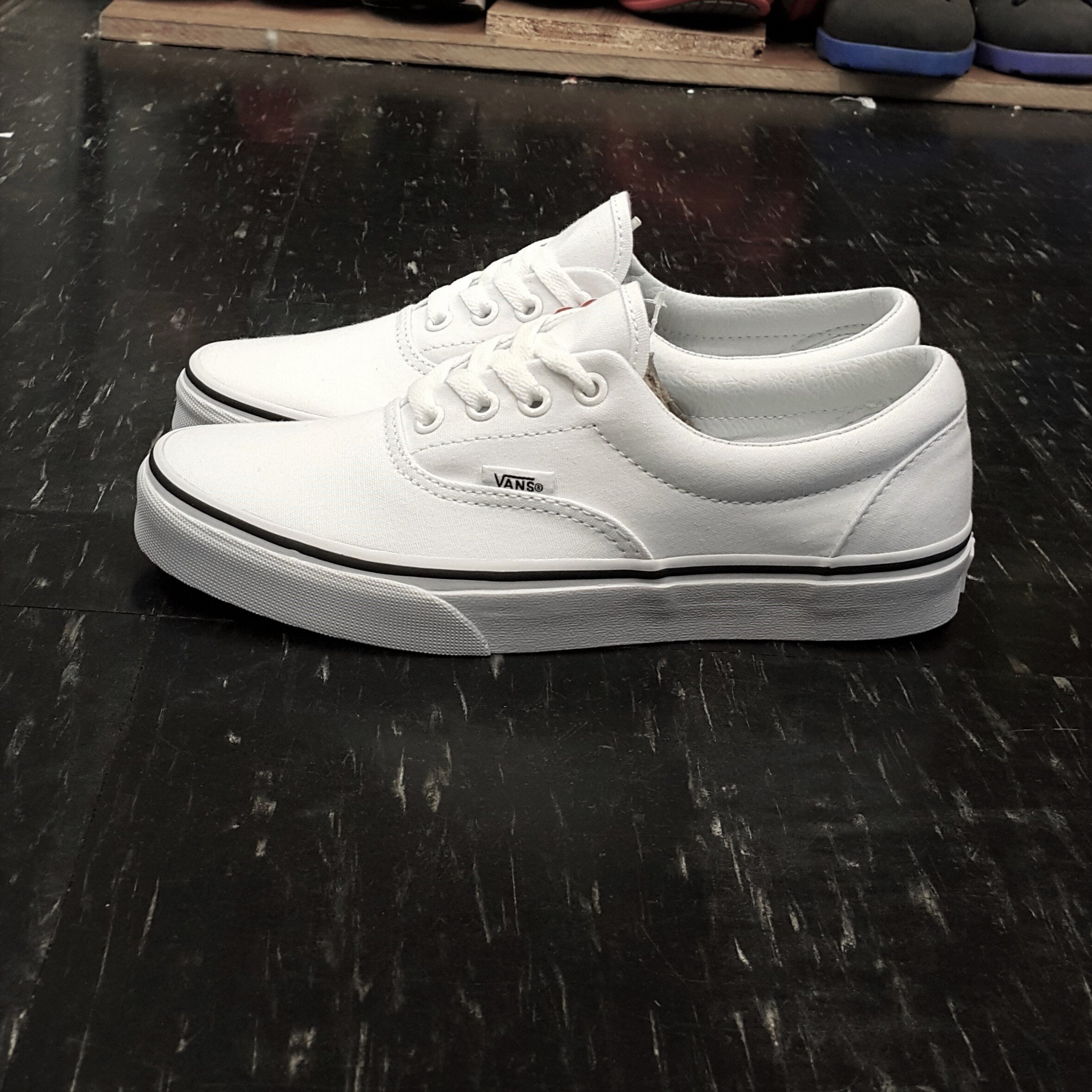 VANS ERA True White 白色 黑邊 白黑 帆布 基本款 全白 經典款 板鞋 VN000EWZW00