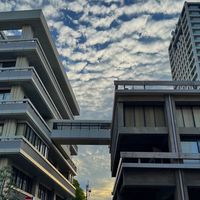 🌳【つぶやき部屋】ベネマダム御用達ウィメンズパーク仲間