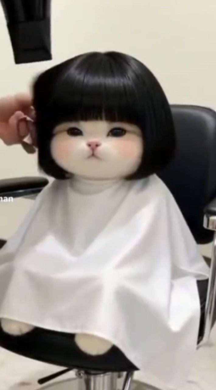 เพลงของทรีแมนดาว