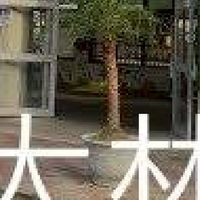 我是大林人
