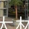 我是大林人