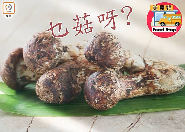 美食婷 當造松茸菇中之王 On Cc 東網 Line Today