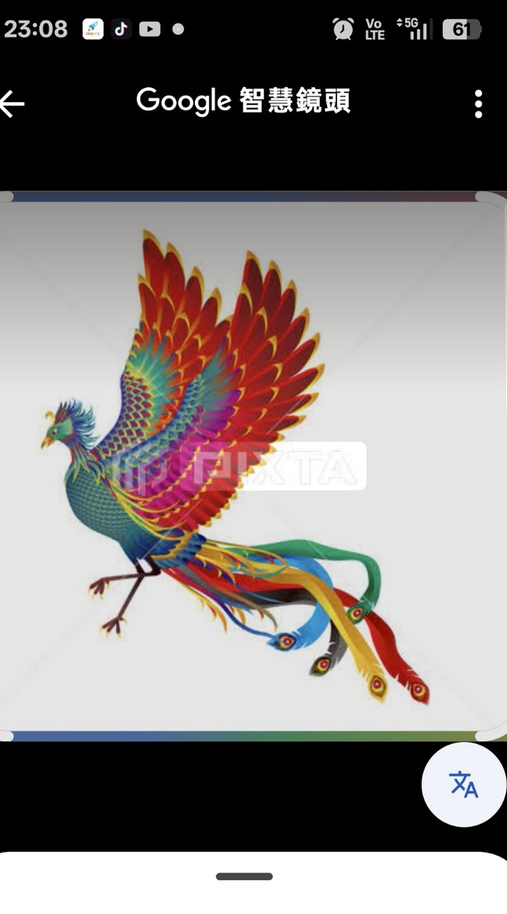 鳳凰市場領導