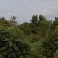 สารพัดข่าวชาวลำปลายมาศ