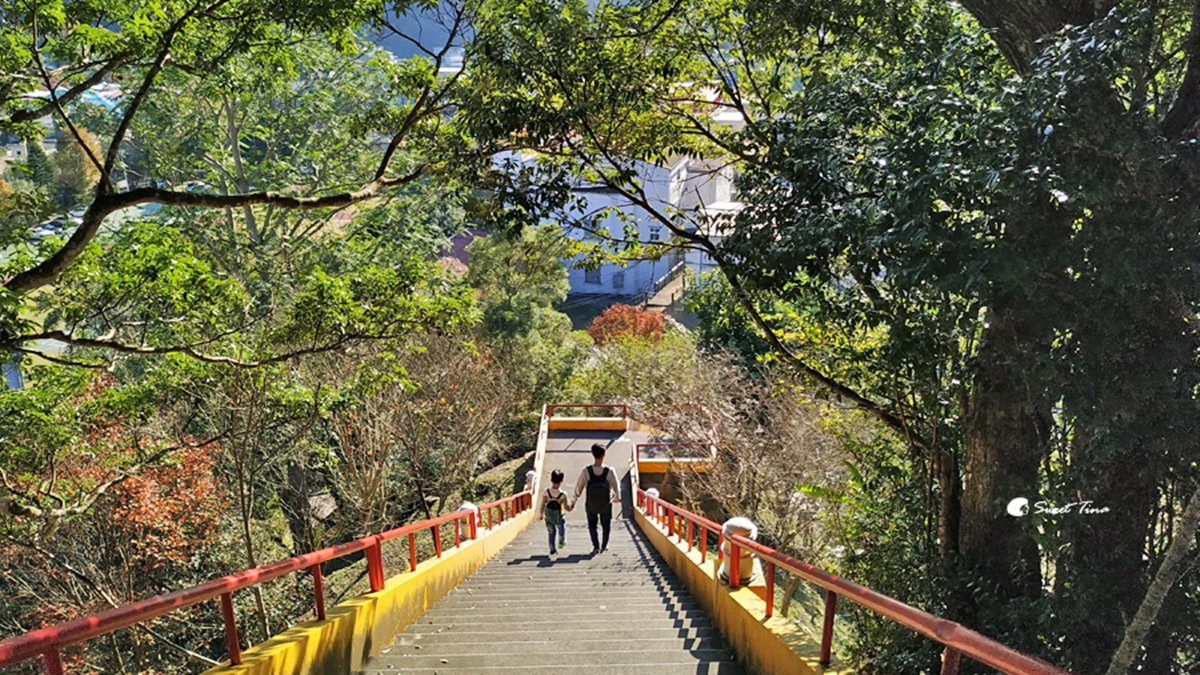 最快５分鐘輕鬆攻頂！新北９條懶人步道：台版「奧入瀨溪流」、絕美陰陽海