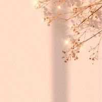 アイコン・背景欲しい人あつまれっ！